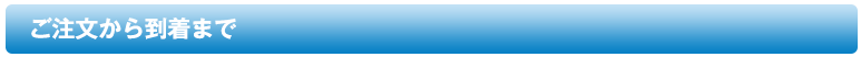 ʸޤ
